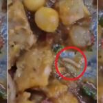 पूर्वोत्तर भारत : विविधता, विकास और राष्ट्रीय एकता का जीवंत सेतु